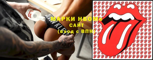 дурь Бородино