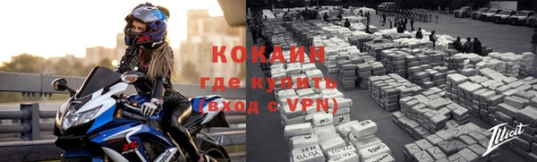дурь Бородино